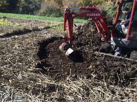 RECYTEC maitrise le curage des boues dans les filtres plantés de roseaux