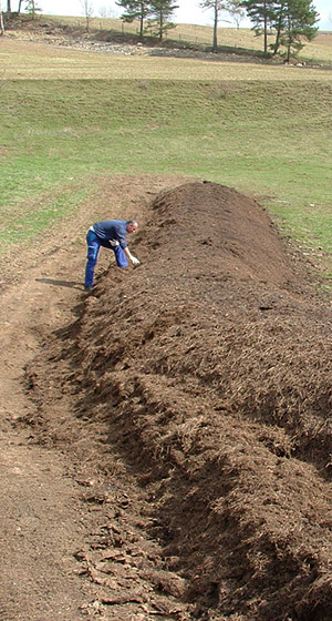 Andain de compost boues et paille de lavandin